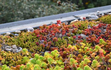 the cost of Day Green green roof installation