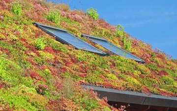 Day Green living roof systems