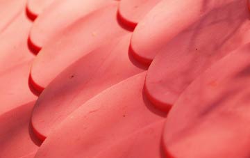 Day Green plastic roof costs