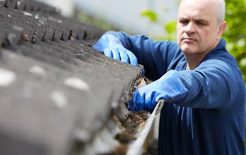 cleaning and inspecting Day Green roofs