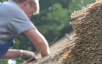 professional Day Green thatchers