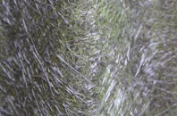 Day Green fibreglass roof work