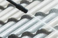 rated Day Green roof cleaning companies